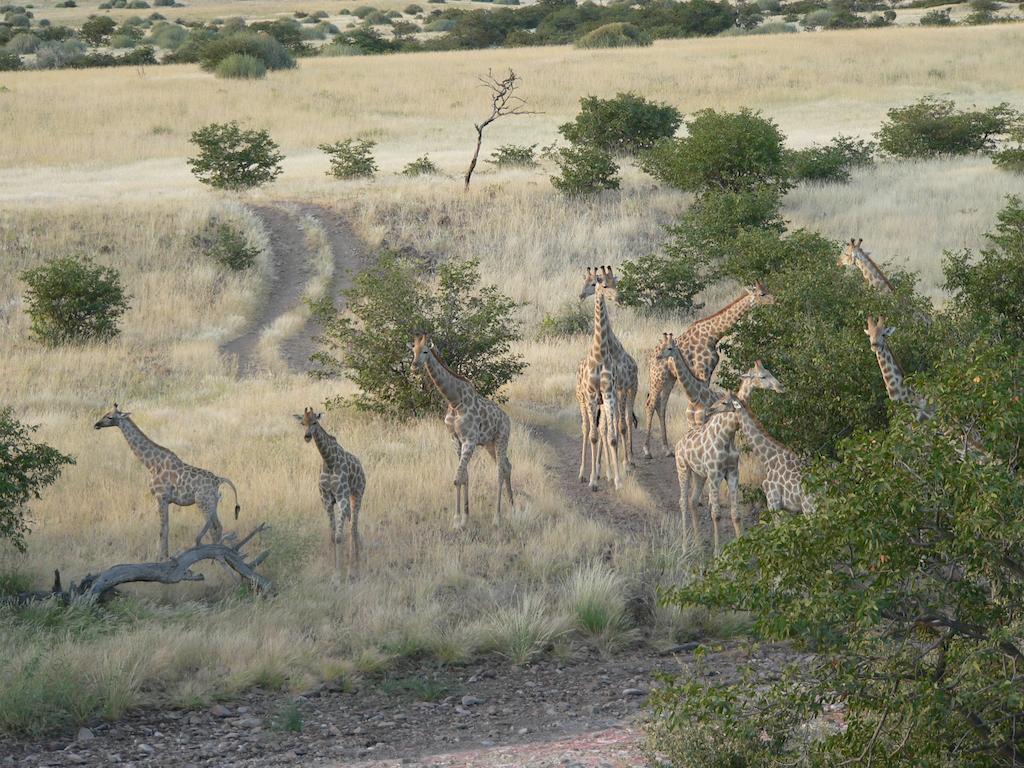 Etendeka Mountain Camp Damaraland Exterior foto