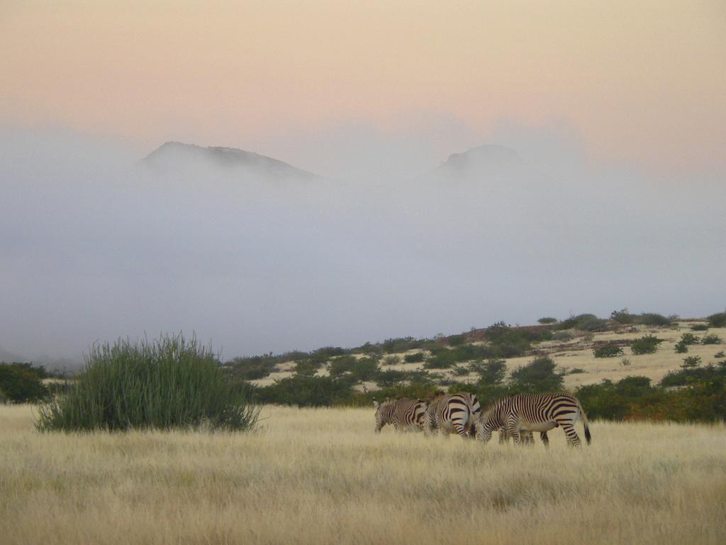Etendeka Mountain Camp Damaraland Exterior foto