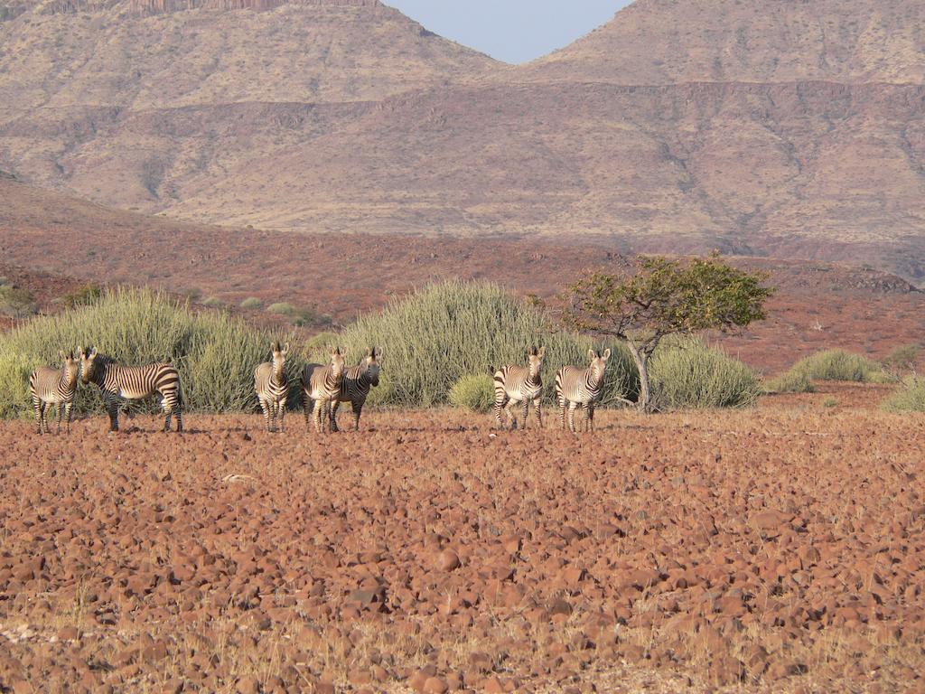 Etendeka Mountain Camp Damaraland Exterior foto