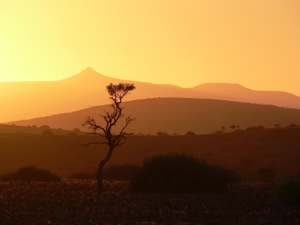 Etendeka Mountain Camp Damaraland Exterior foto