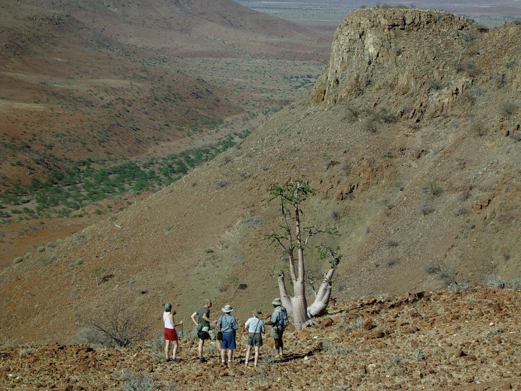 Etendeka Mountain Camp Damaraland Exterior foto